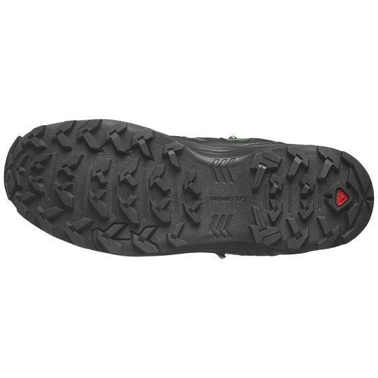 Salomon X Braze Mid GTX